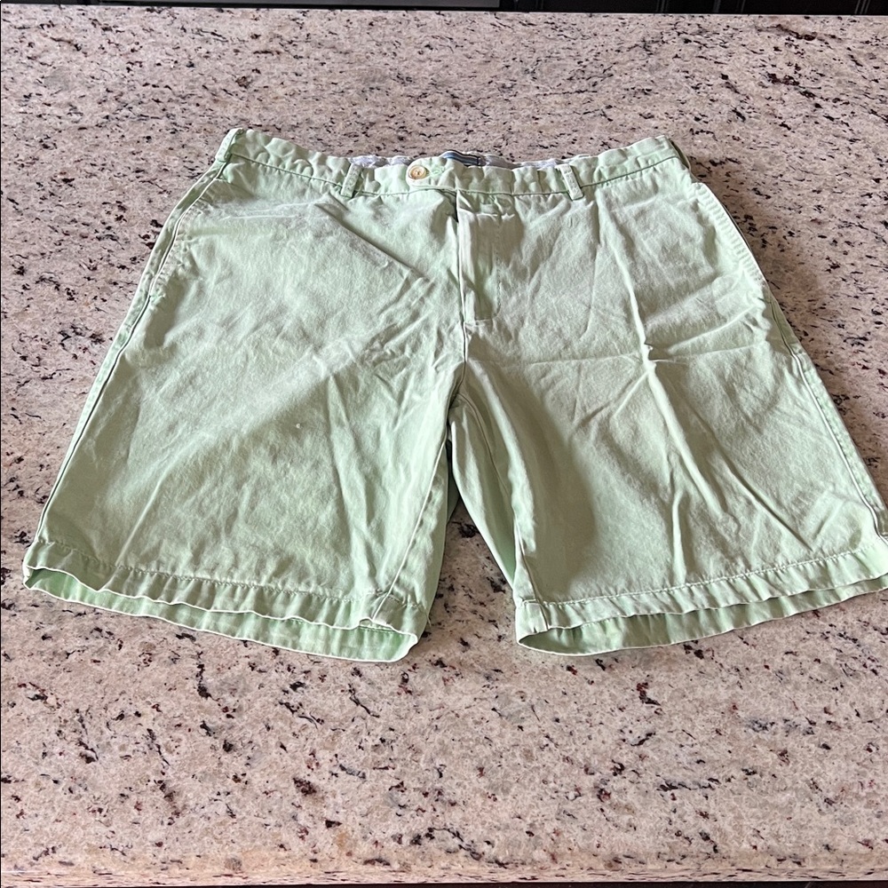 Peter Millar Master’s Mint Green Men’s  Shorts
